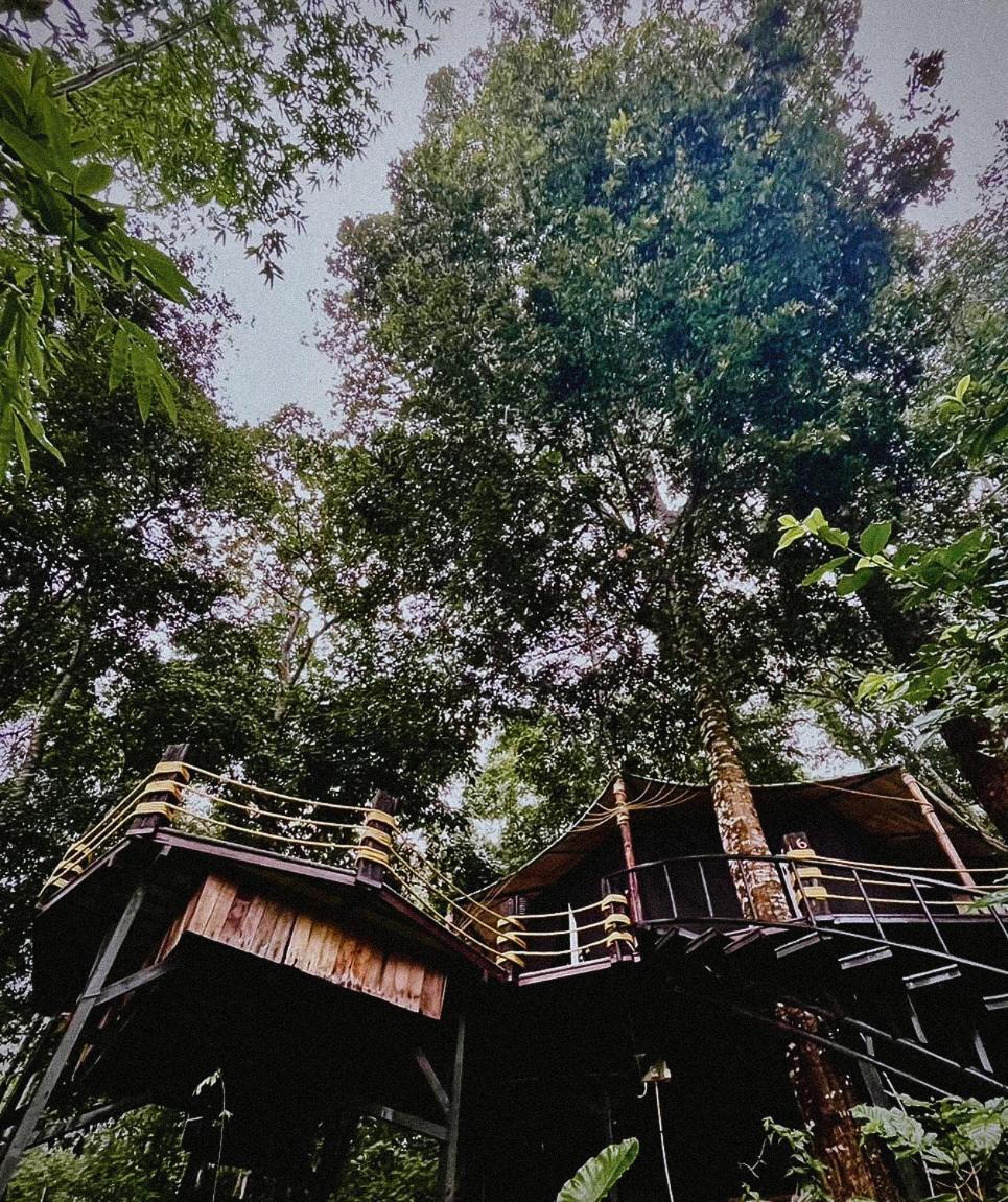 Hotel Lannawild Chiang Mai Zimmer foto